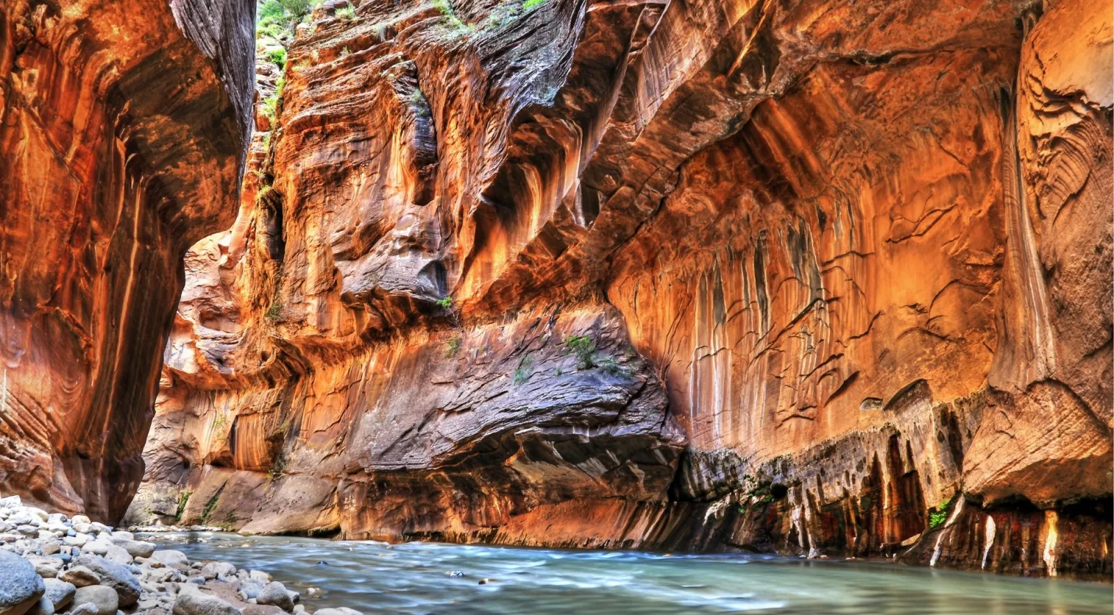 Sunlit sandstone wall curving above the Virgin River in a narrow section of Zion Canyon