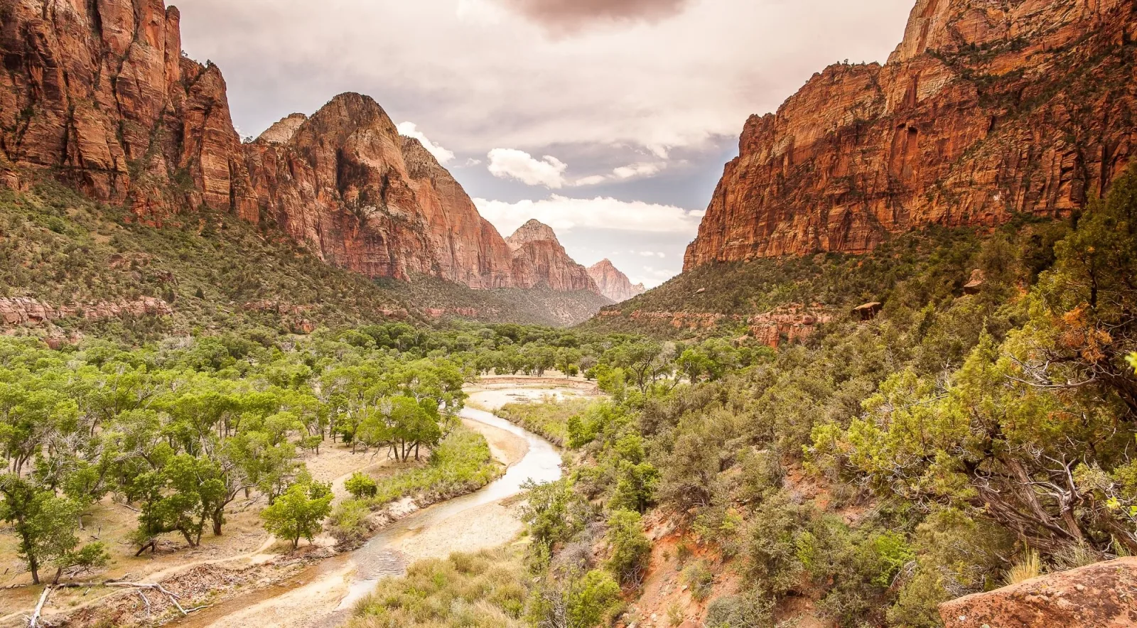 Zion Canyon seen from an overlook, with the Virgin River winding through cottonwoods below red cliffs