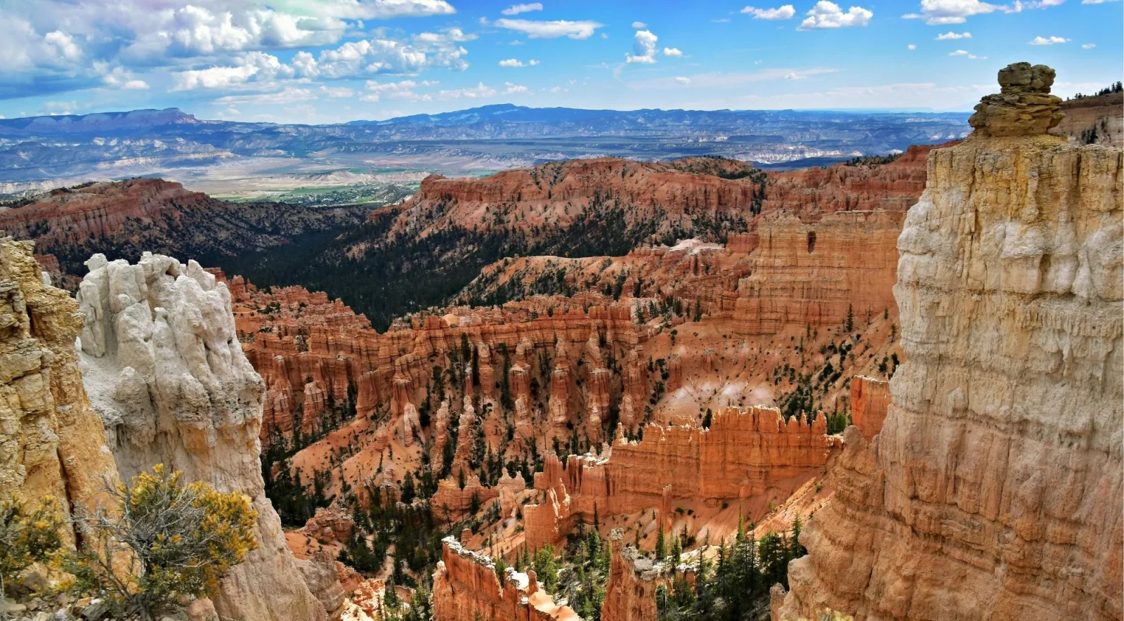 Bryce Canyon amphitheatre of eroded rock seen from the rim trail
