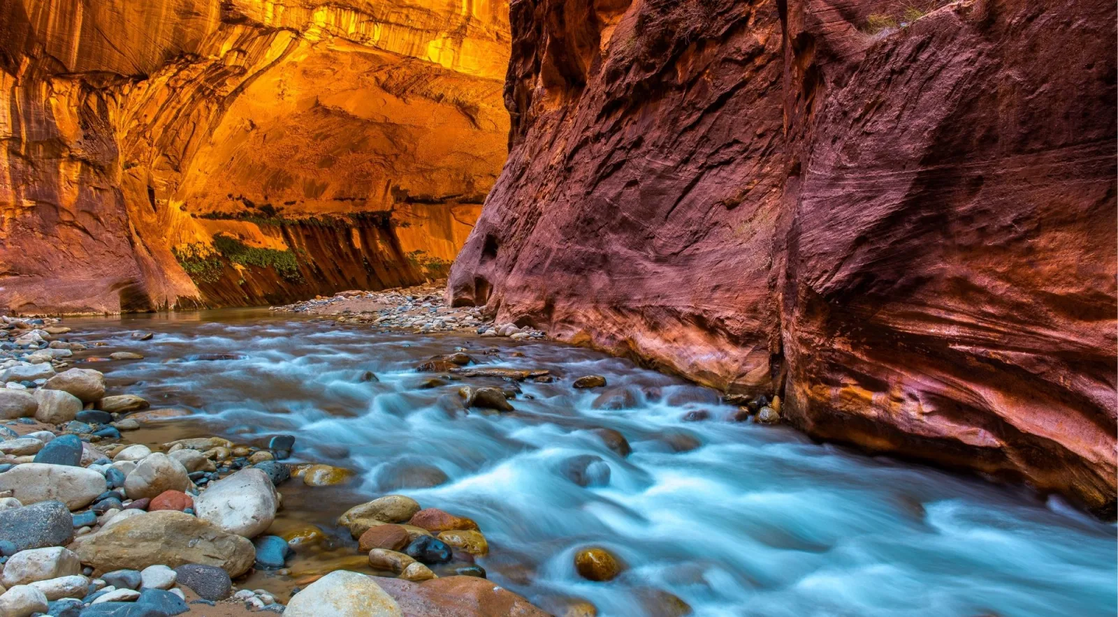 Glowing red canyon wall above rushing blue water in a Zion slot canyon