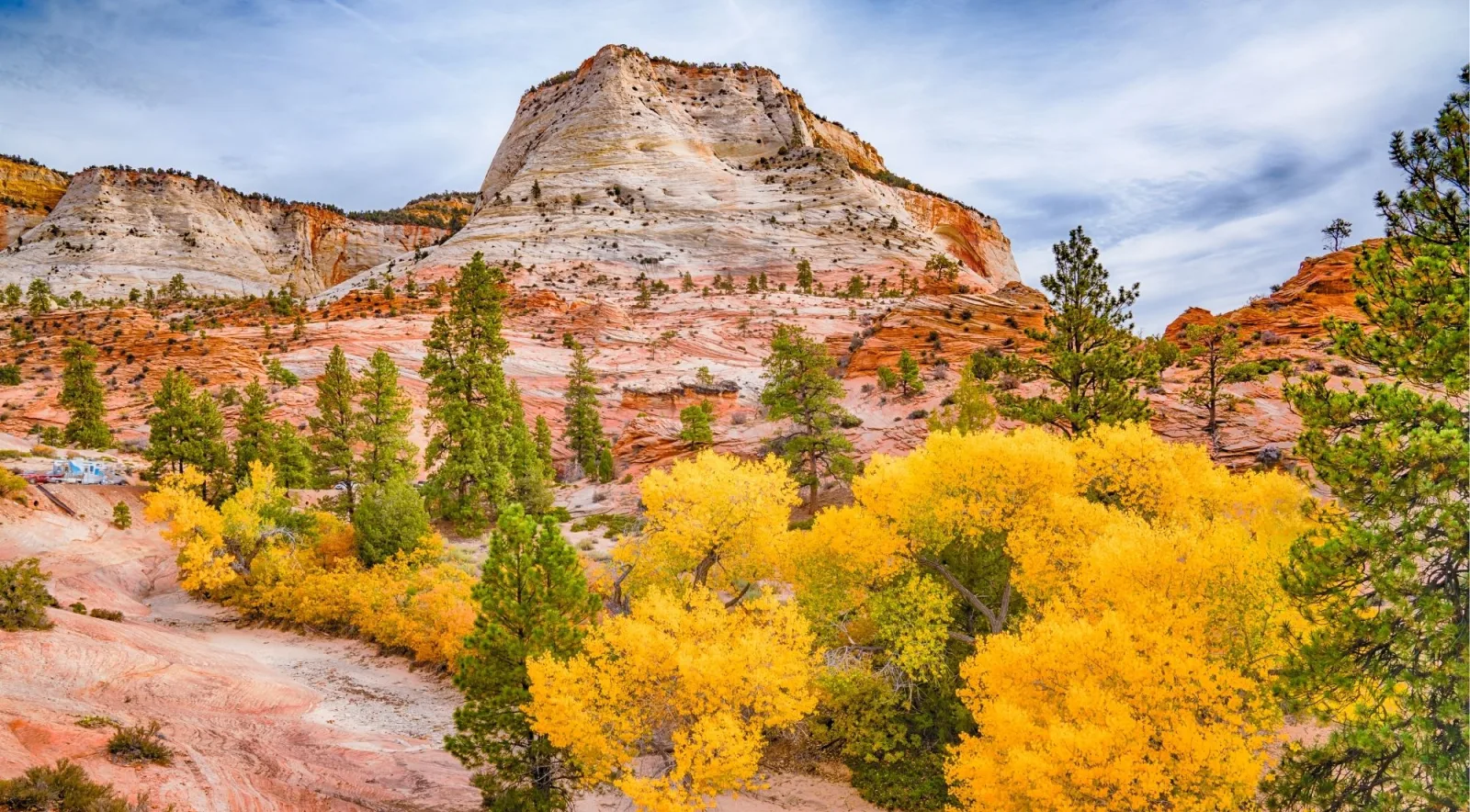 Pale slickrock dome above yellow autumn cottonwoods in Zion National Park
