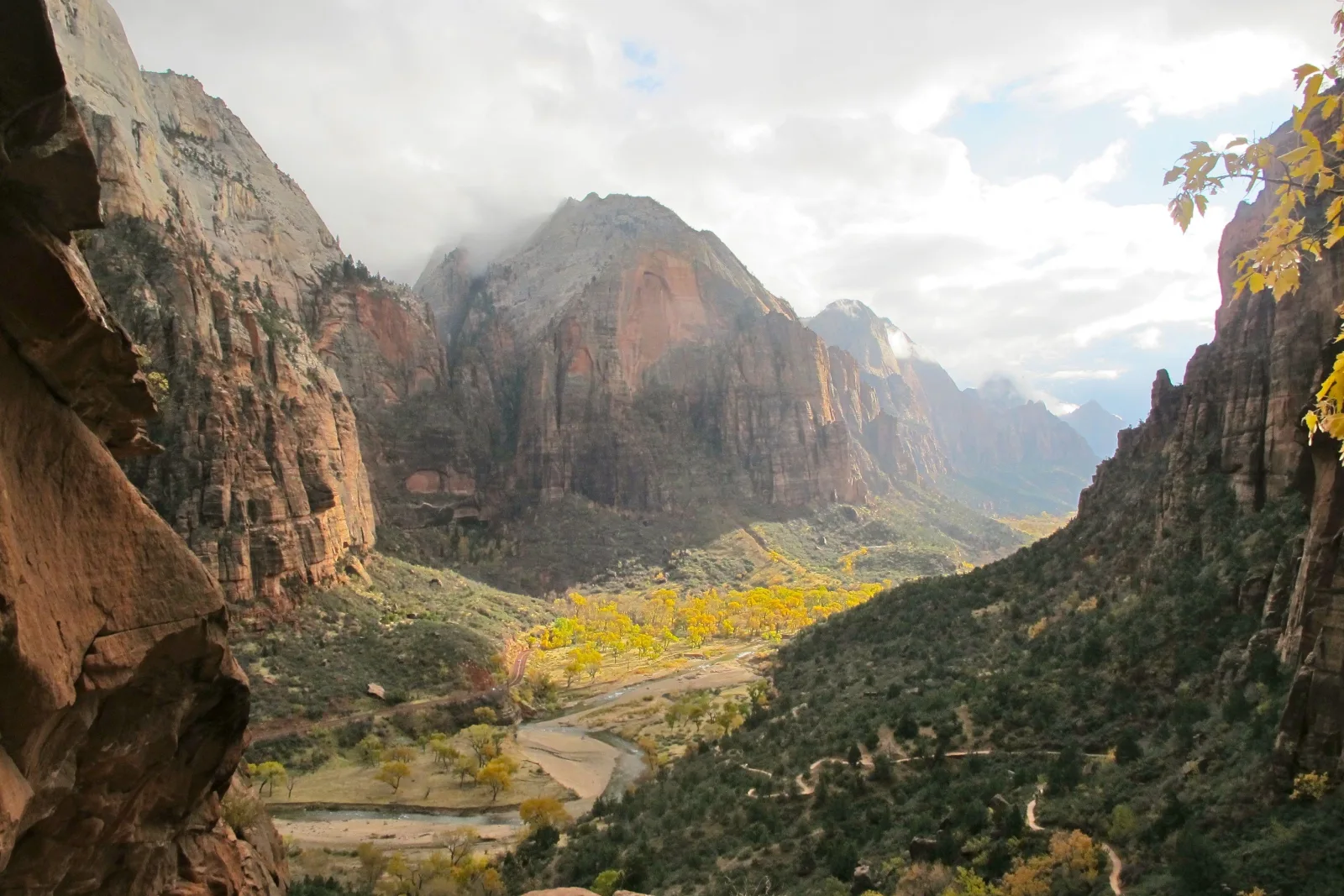 Zion Canyon under low morning mist, seen from a high viewpoint