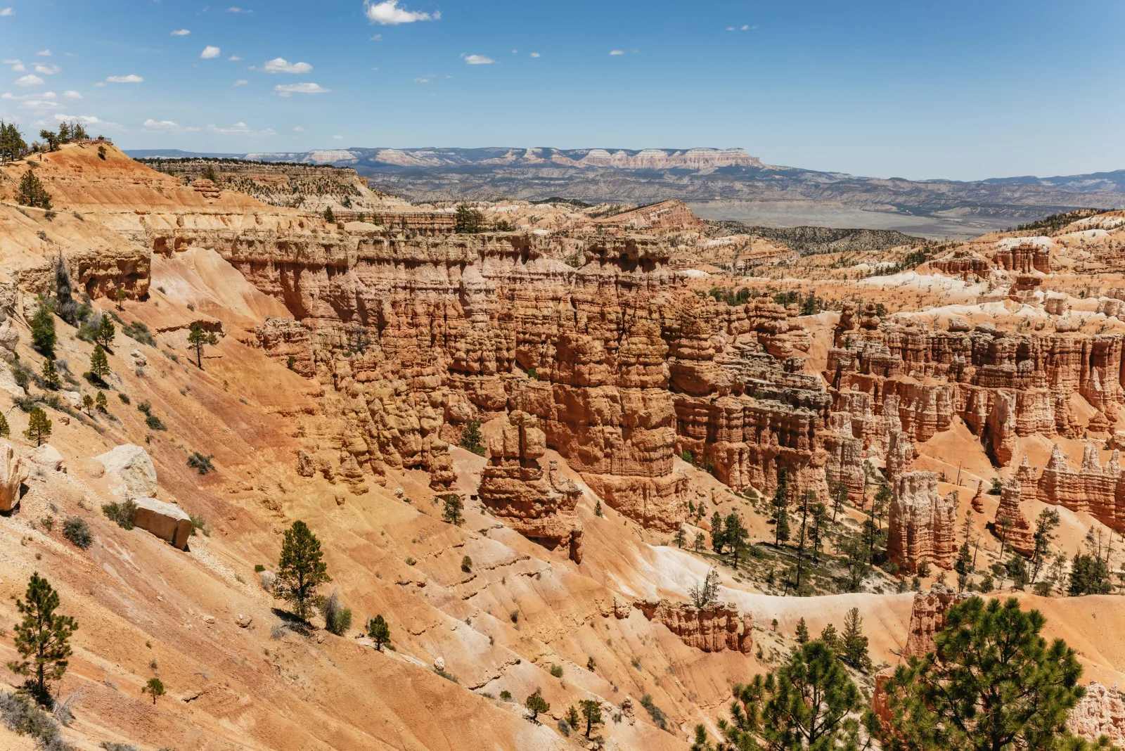 Bryce Canyon amphitheatre of orange and white hoodoos seen from the rim