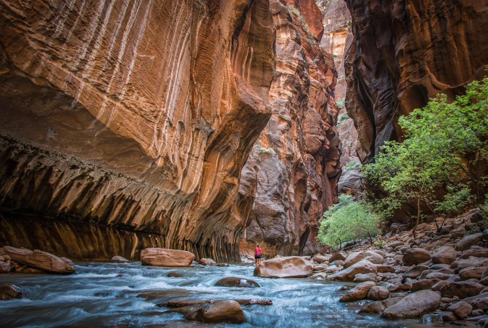 Dark slot canyon with a shallow stream running between fluted sandstone walls