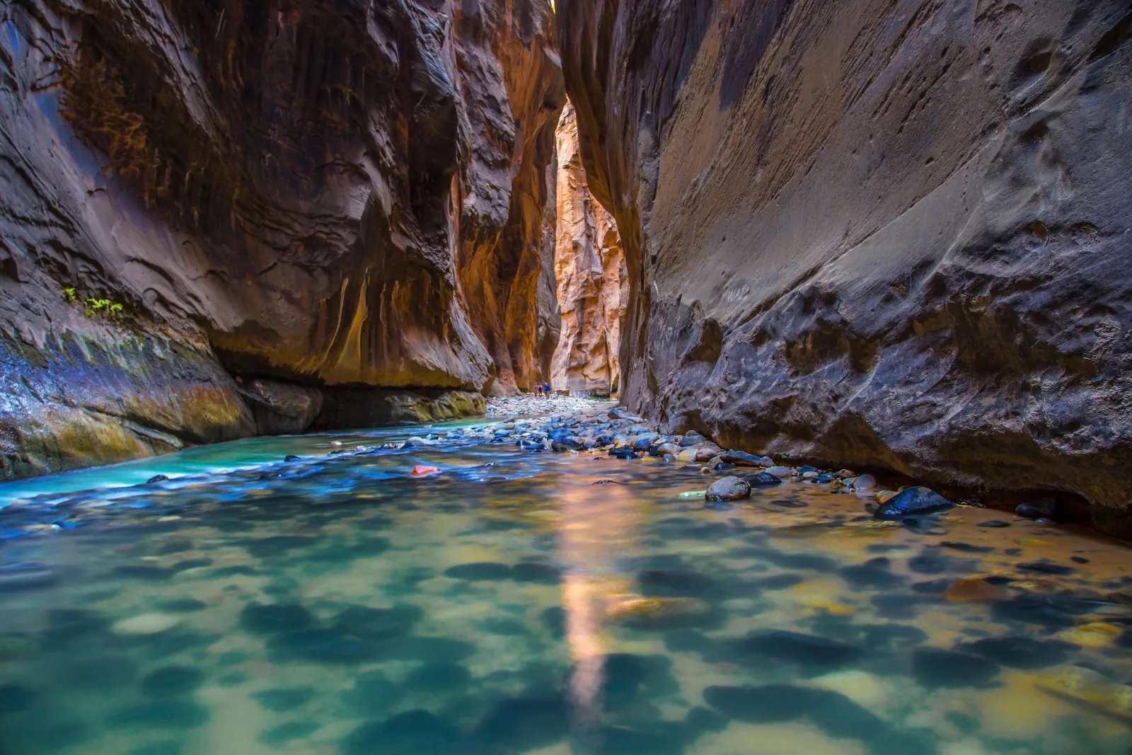 Clear green water flowing between the narrow walls of Zion's Narrows