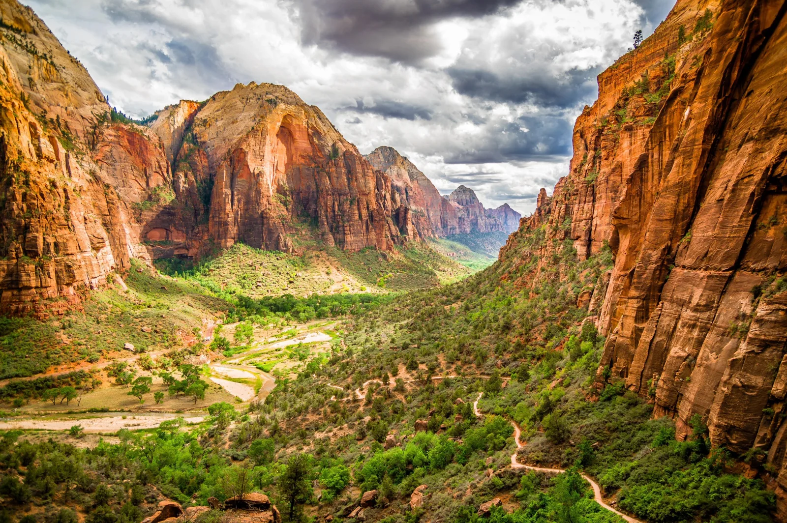 Zion National Park Hiking Lover Day Trip