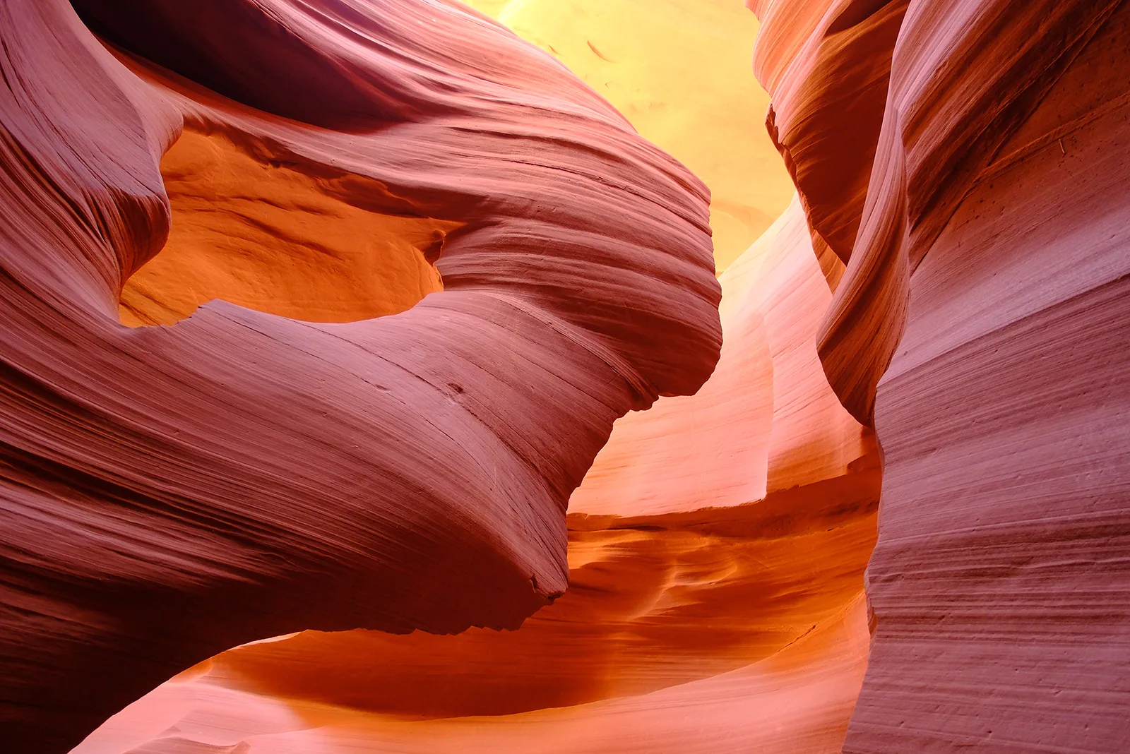 Sculpted orange and violet sandstone curves inside Antelope Canyon