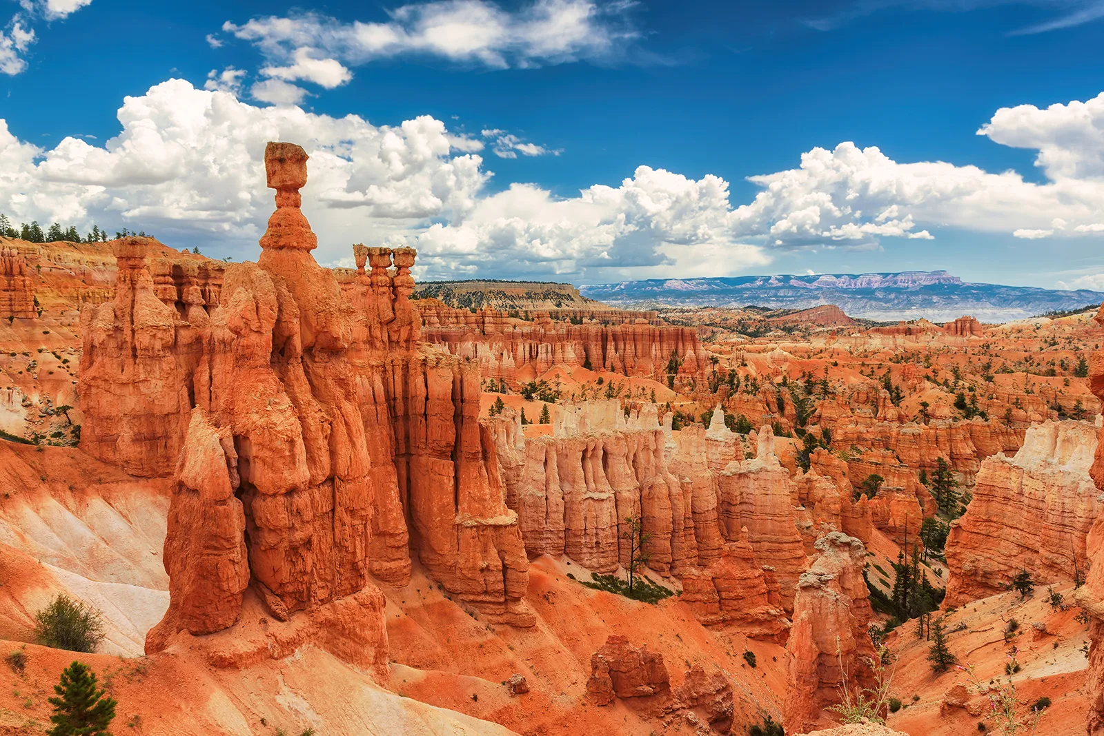 Thor's Hammer and the surrounding hoodoos at Bryce Canyon under a blue sky