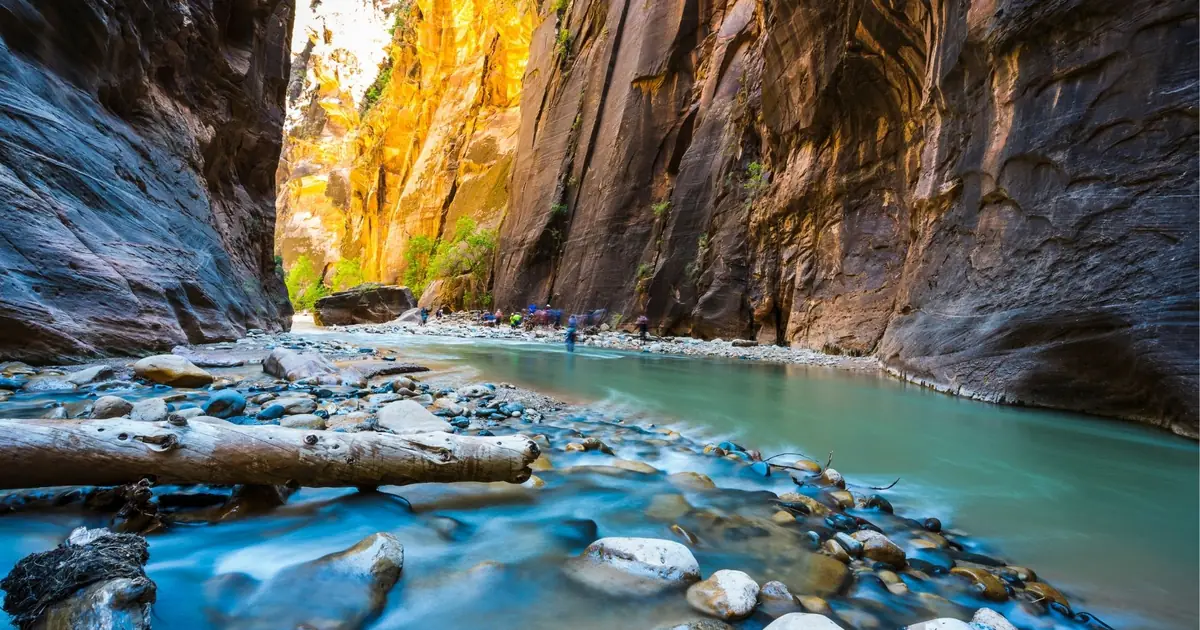 Hikers wading upstream between the sheer walls of the Zion Narrows