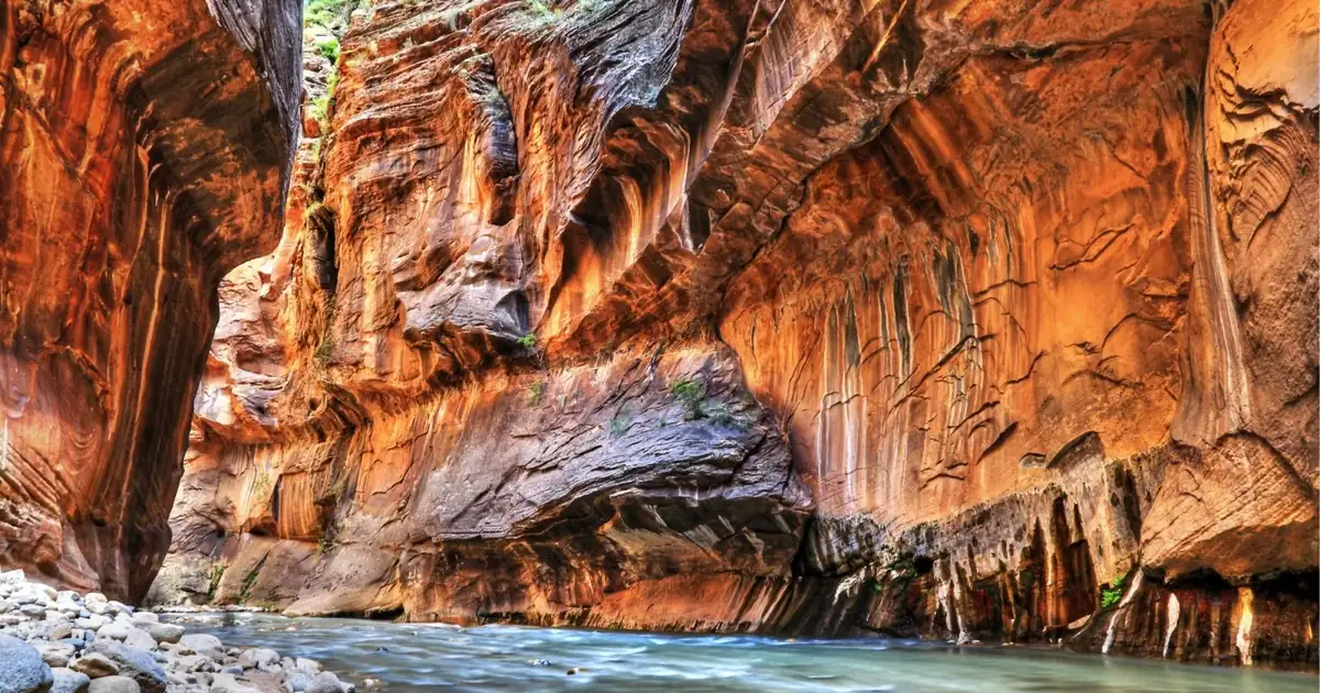 Sunlit sandstone wall curving above the Virgin River in the Zion Narrows, where the trail becomes the river